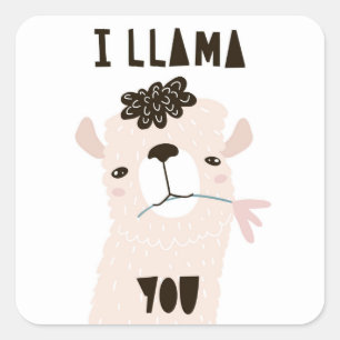 Sticker Carré Je Vous Llama