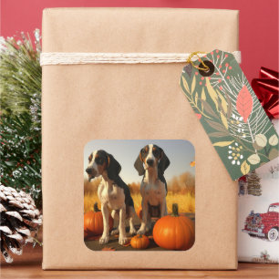 Sticker Carré Jeune Coonhound de Treeing Walker Automne Citrouil