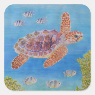 Sticker Carré Jeune tortue marine caouanne