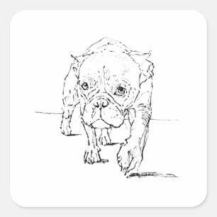 Sticker Carré Joli Bouledogue Français, Illustration de Chien