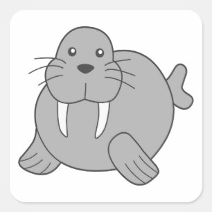 Sticker Carré Joli Cartoon Walrus