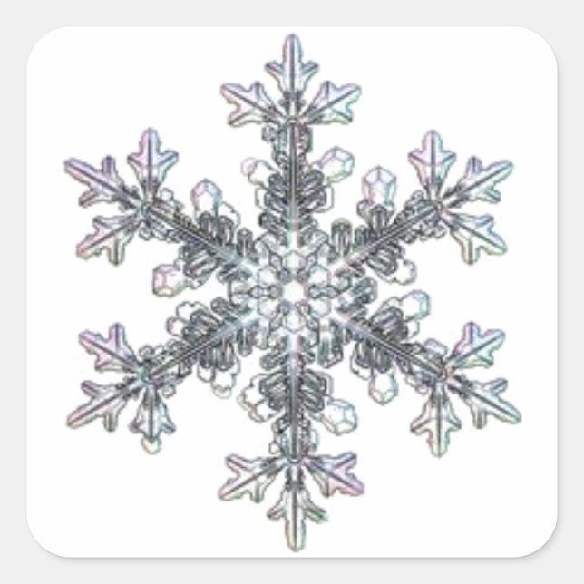 Sticker Carré Joli flocon de neige simple (Devant)