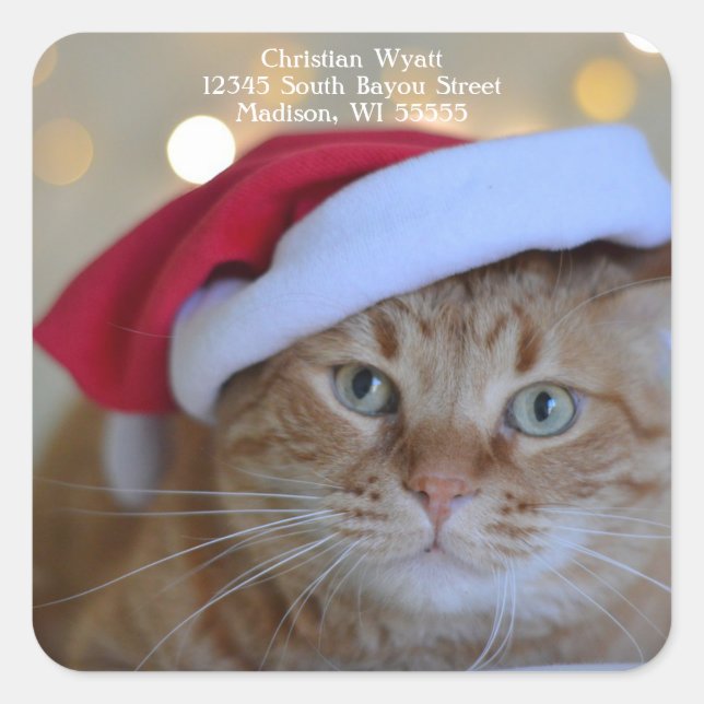Sticker Carré Jolie adresse de retour du chat Noël (Devant)