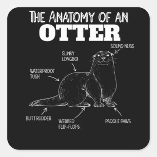 Sticker Carré Jolie Otter Explication Anatomie D'Une Otter