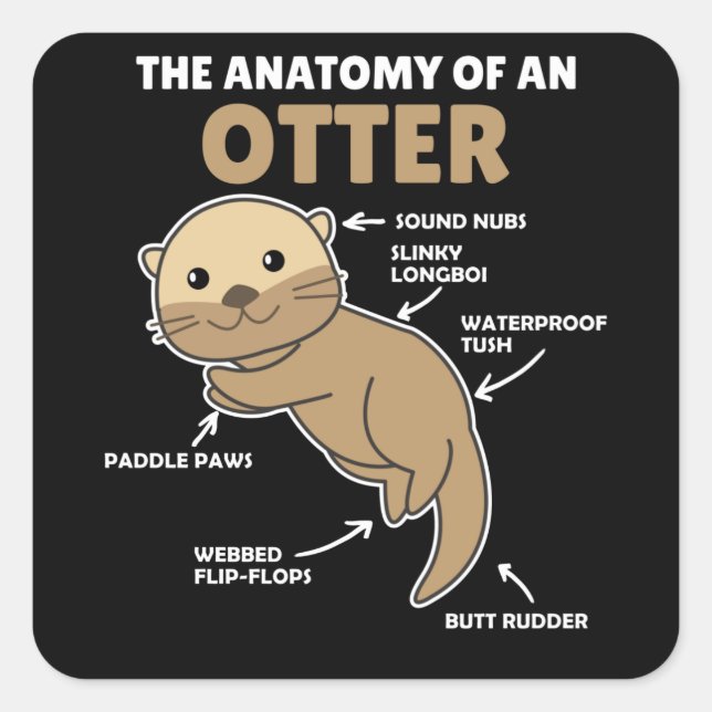 Sticker Carré Jolie Otter Explication Anatomie D'Une Otter (Devant)