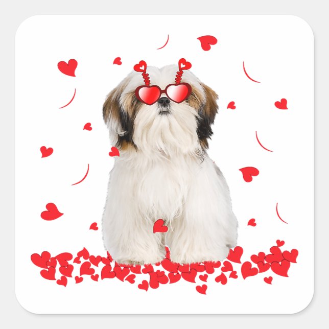 Sticker Carré Jour des Valentines Chih Tzu | Coeurs de chien (Devant)
