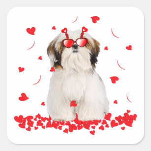 Sticker Carré Jour des Valentines Chih Tzu   Coeurs de chien