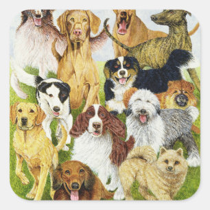 Sticker Carré Jours de chien