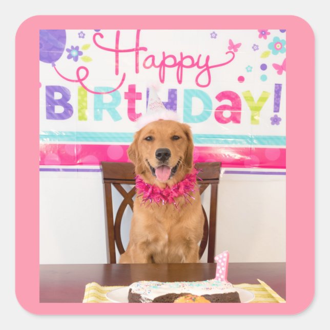Sticker Carré Joyeuse fête du chien d'anniversaire avec mon Dawg (Devant)