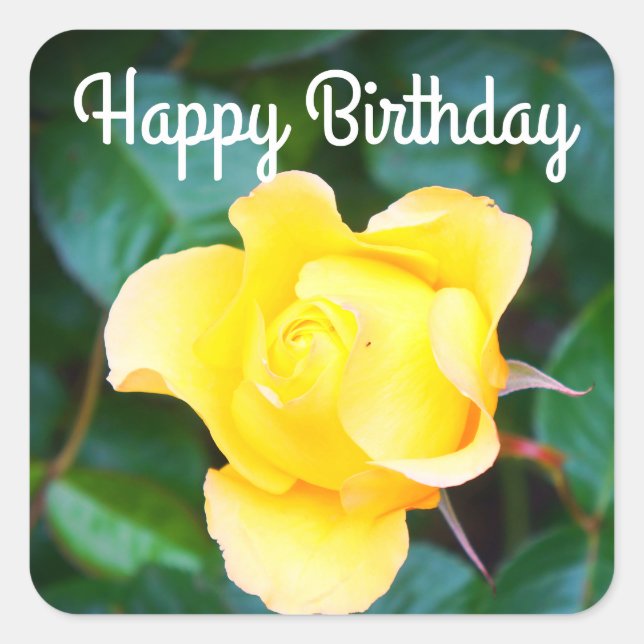 Sticker Carré Joyeuse Marche d'anniversaire sur Sunshine Rose #1 (Devant)