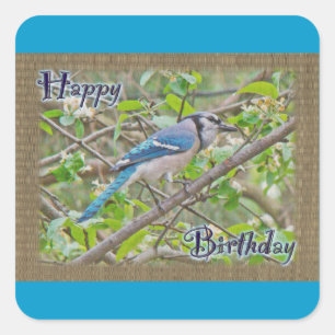 Sticker Carré Joyeux anniversaire Blue Jay