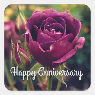 Sticker Carré Joyeux Anniversaire Bourgogne Rose Iceberg #1 Stic