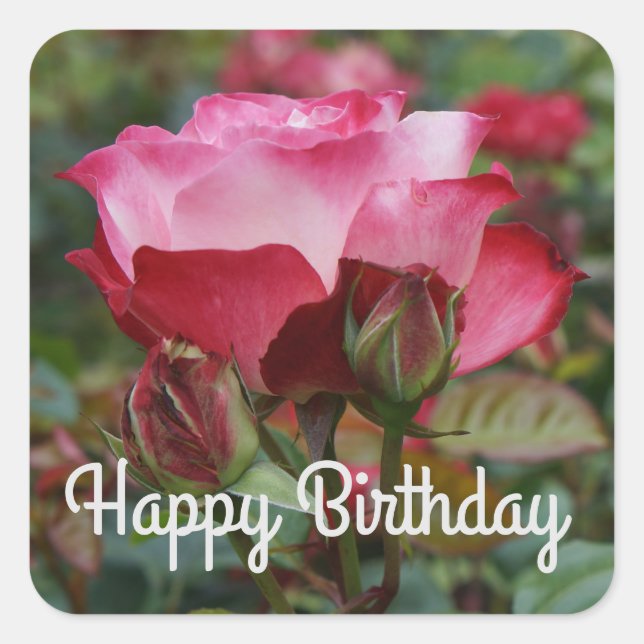 Sticker Carré Joyeux Anniversaire Cherry Parfait Rose #1-2 Stick (Devant)
