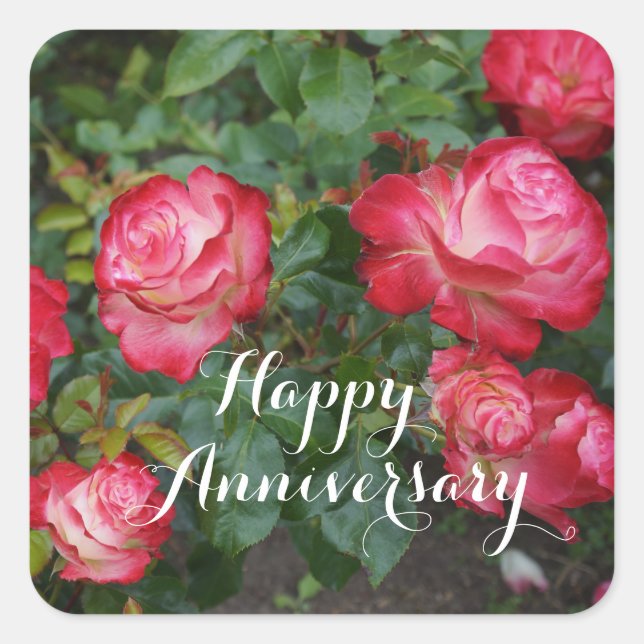 Sticker Carré Joyeux anniversaire Cherry Parfait Rose #5-1 (Devant)