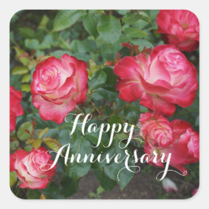 Sticker Carré Joyeux anniversaire Cherry Parfait Rose #5-1