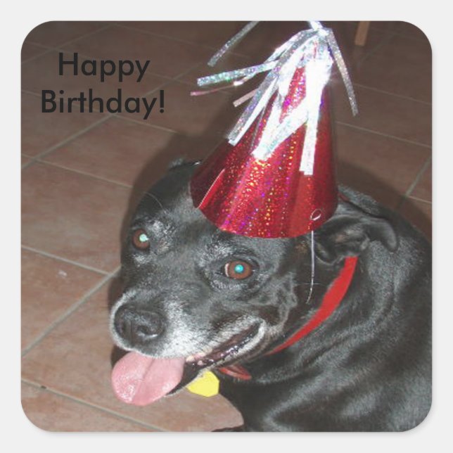 Sticker Carré Joyeux Anniversaire Chien noir avec Casquette roug (Devant)