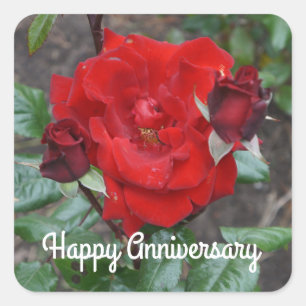 Sticker Carré Joyeux anniversaire Crimson Bouquet Rose #1 Sticke