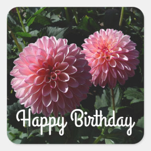 Sticker Carré Joyeux anniversaire Dahlia Valley Porcupine #1 Sti