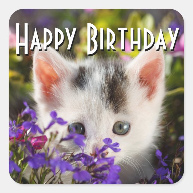 Sticker Carré Joyeux Anniversaire Kitten (Devant)