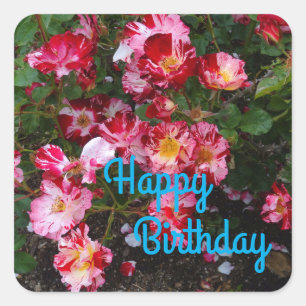 Sticker Carré Joyeux Anniversaire Quart de Juillet Rose #1 Stick