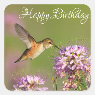 Sticker Carré Joyeux colibri et Fleur sauvage d'anniversaire