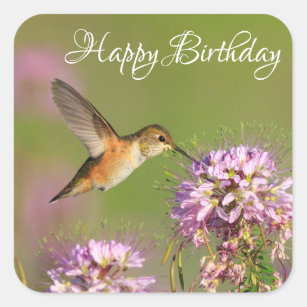 Sticker Carré Joyeux colibri et Fleurs sauvages d'anniversaire