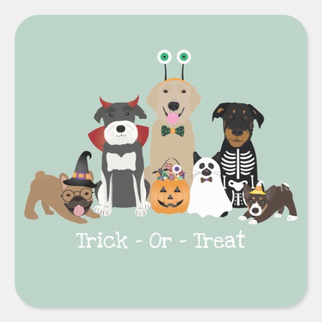 Sticker Carré Joyeux Costumes Éffrayants Pour Animaux De Compagn (Devant)