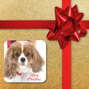 Sticker Carré Joyeux Noël Cavalier King Charles enneigé