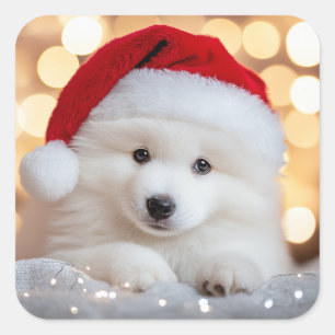 Sticker Carré Joyeux Noël chiot Samoyède avec chapeau de Père No