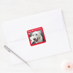 Sticker Carré Joyeux Noël drôle chien souriant vacances