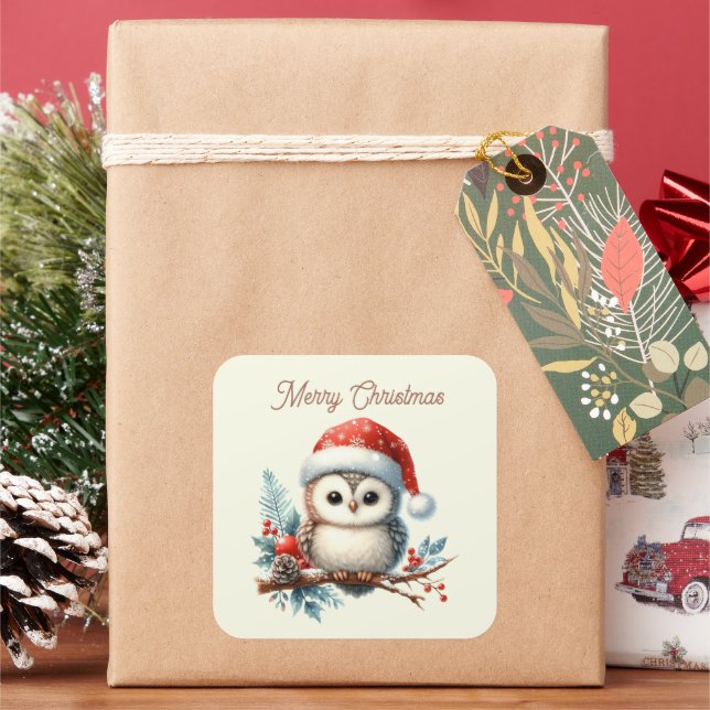 Sticker Carré Joyeux Noël hibou ajouter du texte (vacances)