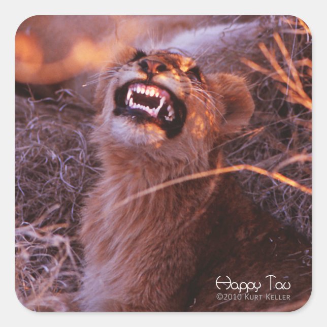 Sticker Carré Joyeux Tau, Lion Cub souriant (Devant)