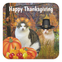 Joyeux Thanksgiving Chats Mignons Citrouille