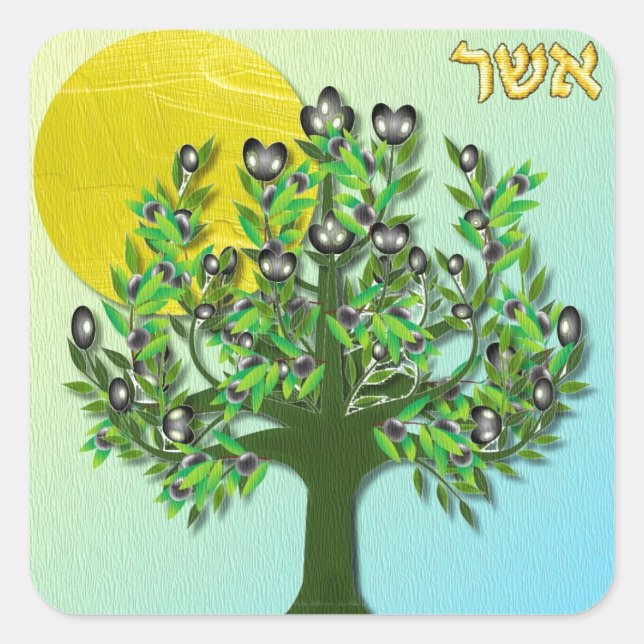 Sticker Carré Judée 12 tribus Israël Asher (Devant)