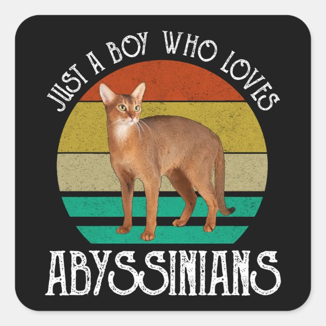 Sticker Carré Juste Un Garçon Qui Aime Les Abyssiniens (Devant)