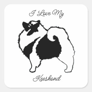 Sticker Carré Keeshond Graphics - Joli Carré d'art de chien orig