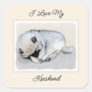 Sticker Carré Keeshond Sleeping Puppy Peinture Chien Art origina