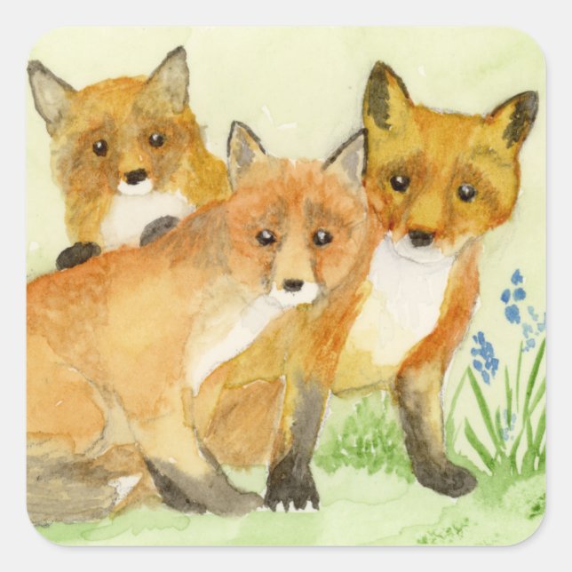 Sticker Carré Kits Fox (Devant)