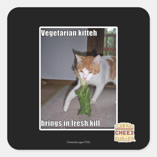 Sticker Carré Kitteh végétarien (Devant)