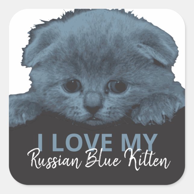 Sticker Carré Kitten bleu russe (Devant)