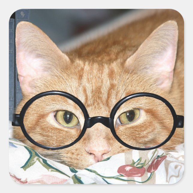 Sticker Carré Kitty avec lunettes (Devant)