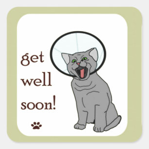 Sticker Carré Kitty Chat Va Bien Bientôt