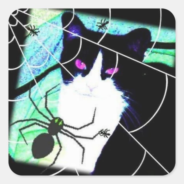 Sticker Carré KittyCatSpiderWeb (Devant)