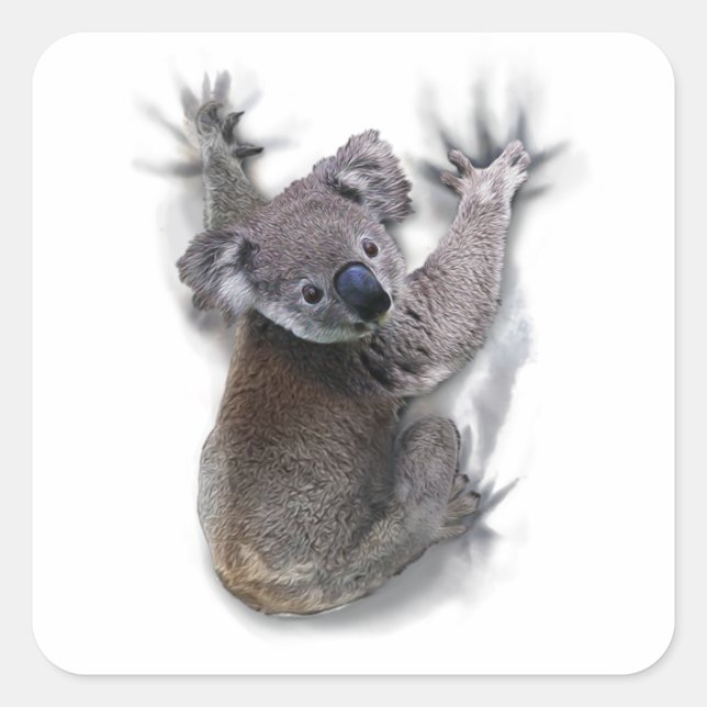 Sticker Carré Koala Hang Sur Le Dos Cute Ours Australie Animal (Devant)