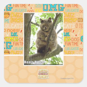Sticker Carré Koala Kitteh