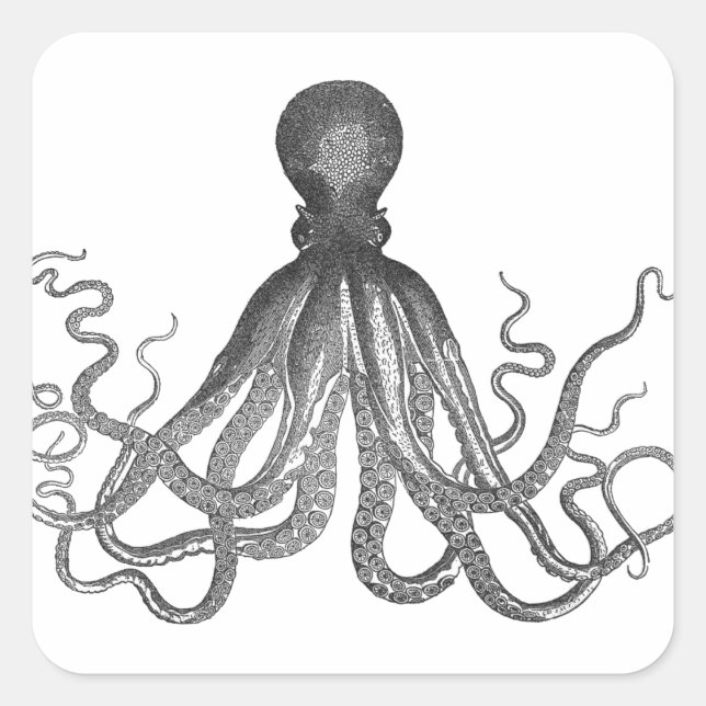 Sticker Carré Kraken - Octopus géant noir / Cthulu (Devant)
