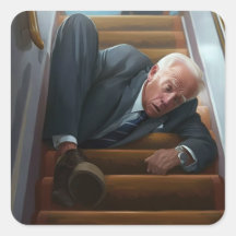 La Force aérienne : Joe Biden tombe