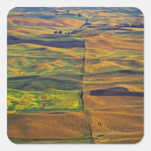 Sticker Carré La Palouse depuis Steptoe Butte, Colfax,