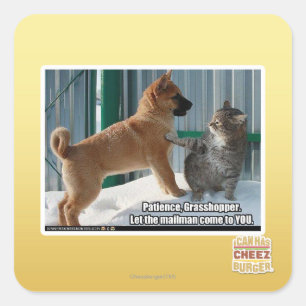 Sticker Carré La patience, sauterelle