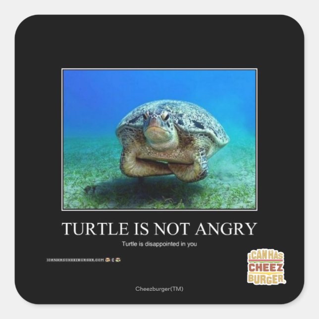 Sticker Carré La tortue n'est pas en colère (Devant)